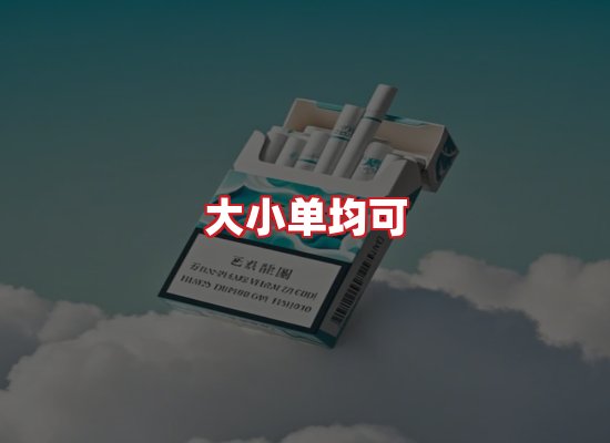 专业团队